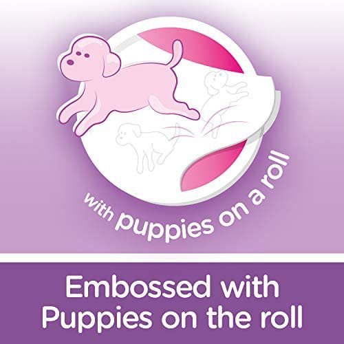 【2024 Limited Time Deals + Free Shipping】Andrex 9 Toilet Roll Pack Gentle Clean Toilet Rolls - toilet paper - Image 5